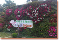 中興林場(新化國家植物園)